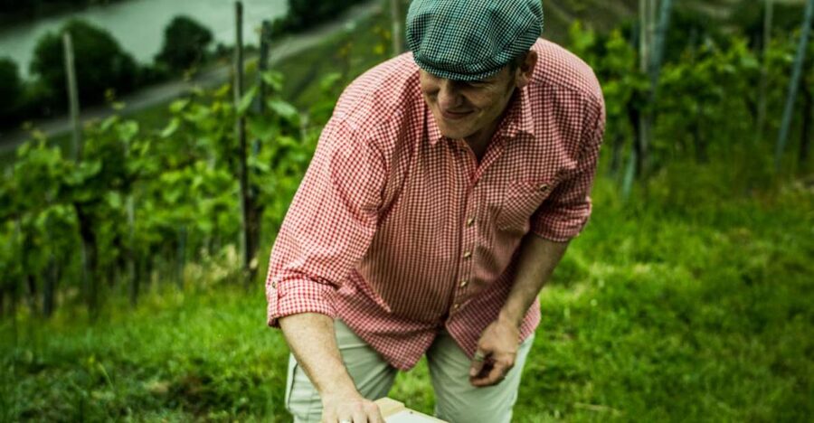 Stuttgart: Guided Vineyards Tour - What you see from the vineyard slopes