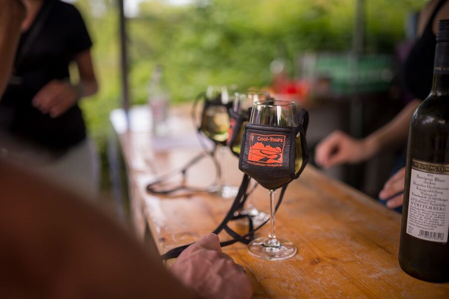 Stuttgart: Guided Vineyards Tour - Price and group value: $800 per group up to 15