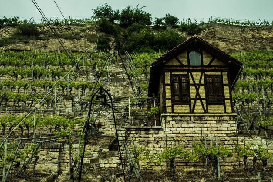 Stuttgart: Guided Vineyards Tour - What’s included in your 210 minutes