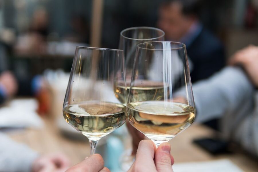 Stuttgart: Guided Vineyards Tour - Who this tour fits best, and who might want a gentler option