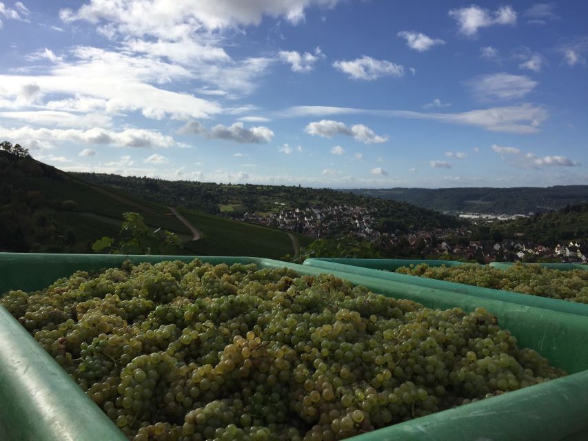 Stuttgart: Guided Wine Walk & Wine Tasting - Price and value: is $50 worth 150 minutes of wine walking?
