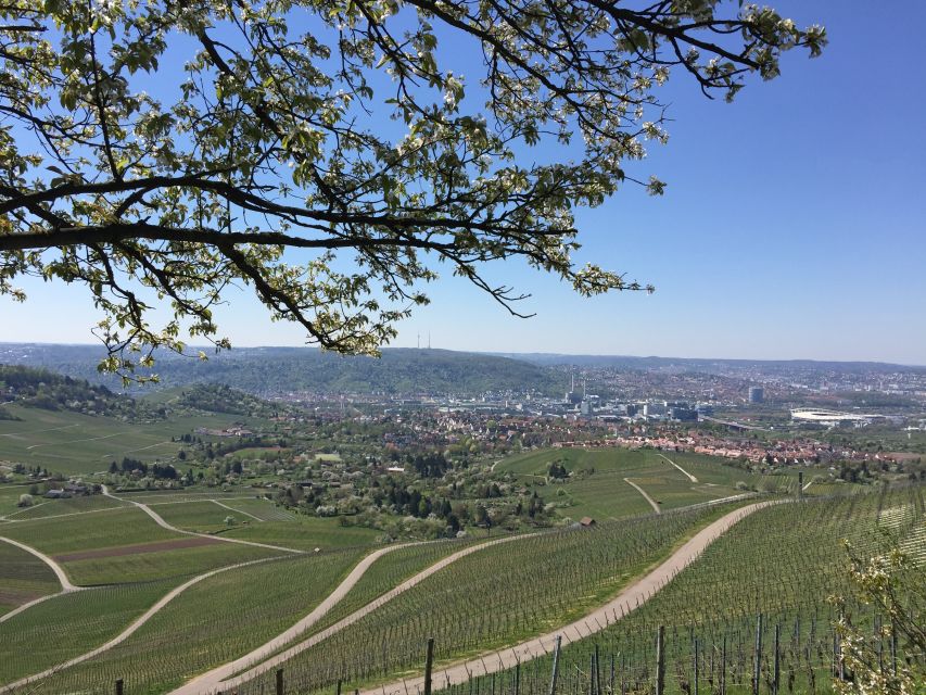 Stuttgart: Guided Wine Walk & Wine Tasting - Who should book this Stuttgart wine walk, and who should skip it