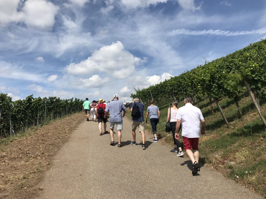 Stuttgart: Guided Wine Walk & Wine Tasting - FAQ