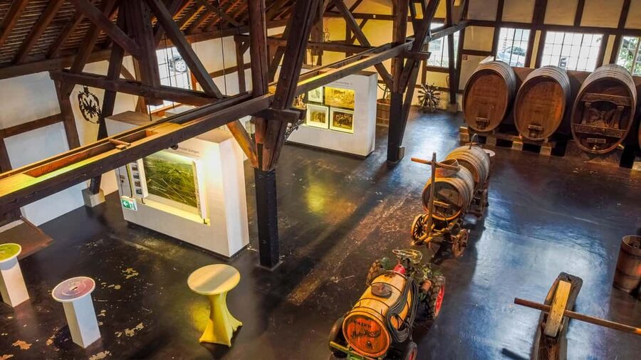 Stuttgart: Stuttgart Wine Museum Wine Tasting - Should You Book the Stuttgart Wine Museum Wine Tasting?