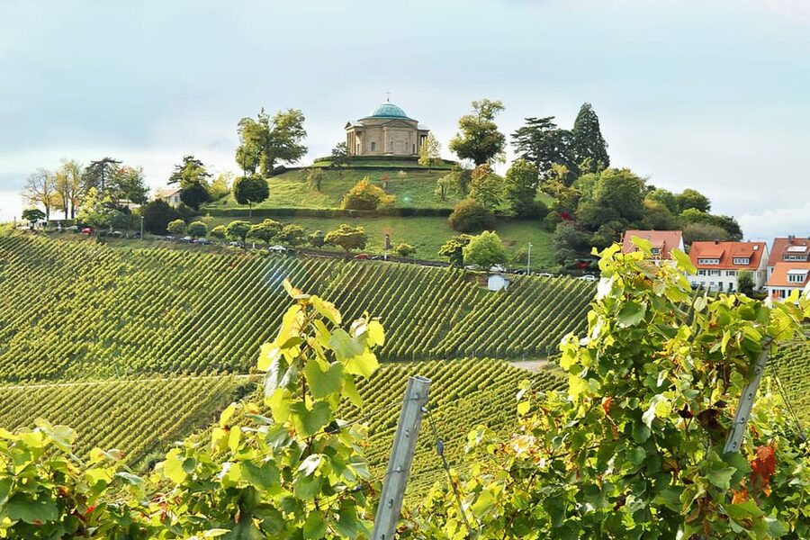 Stuttgart: Wine hike with wine tasting - Price and Value for a 2.5 Hour Wine Walk