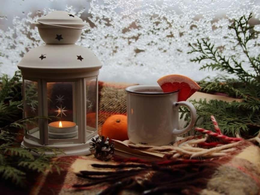 Stuttgart: Winter sleigh covered wagon tour - Your Warm Break on the Heated Neckar Terrace