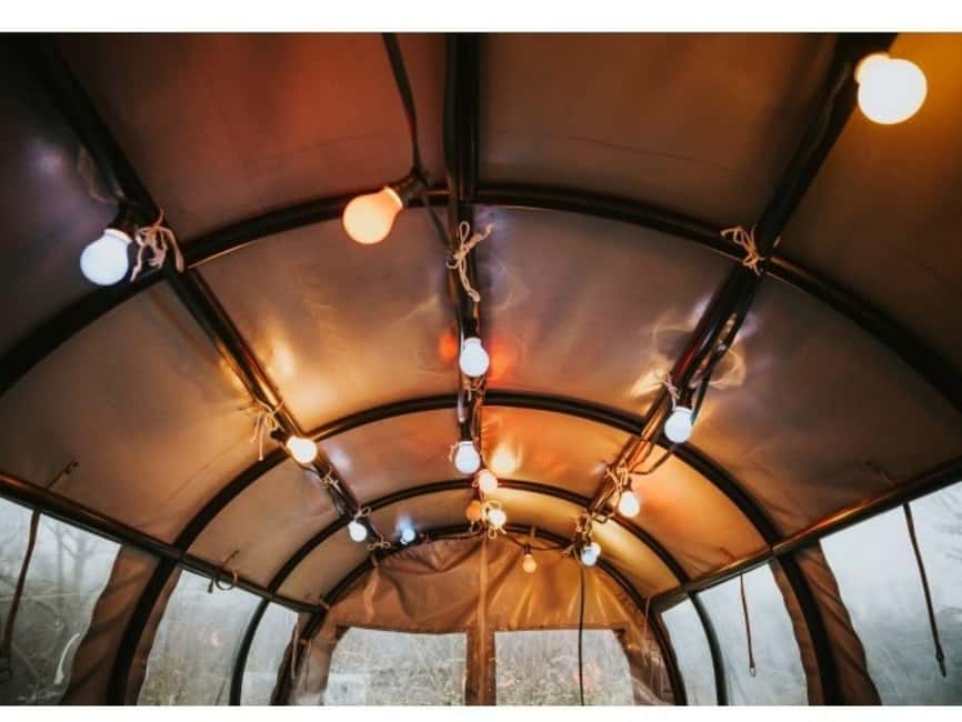 Stuttgart: Winter sleigh covered wagon tour - Mulled Wine Included, With a Simple Non-Alcoholic Option