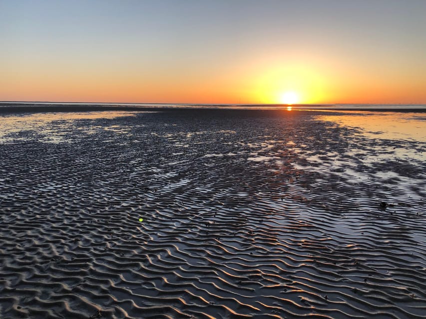 Sylt: Guided Mudflat Hike on the Island - Key Highlights You Should Know Before You Go