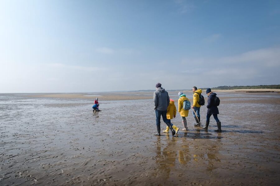 Sylt: Guided Mudflat Hike on the Island - Barefoot vs. Rubber Boots: What You Will Walk In (and Why It Changes the Trip)