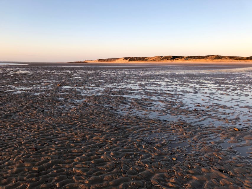 Sylt: Guided Mudflat Hike on the Island - What You Learn on the Walk: Wildlife, Food Webs, and Tide Clues