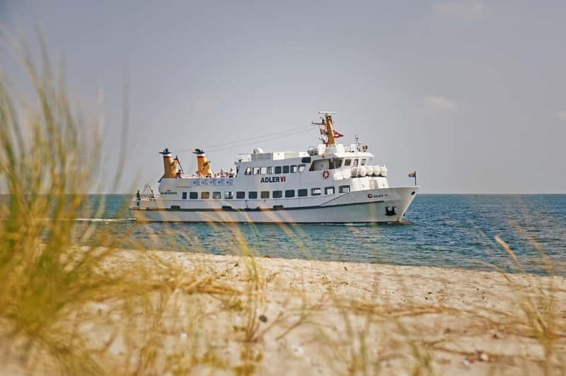 Sylt: Shell safari with boat | incl. Mussel tasting & 1 glass of wine - Key highlights at a glance