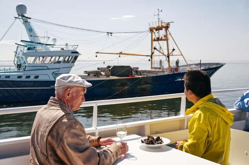 Sylt: Shell safari with boat | incl. Mussel tasting & 1 glass of wine - Who should book this, and who should skip it