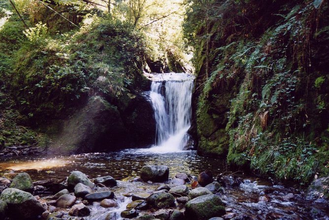 The best in Baden-Baden surroundings and Black Forest. Start from Baden-Baden - Panoramaweg and Geroldsauer Wasserfall: short forest drama, real payoff