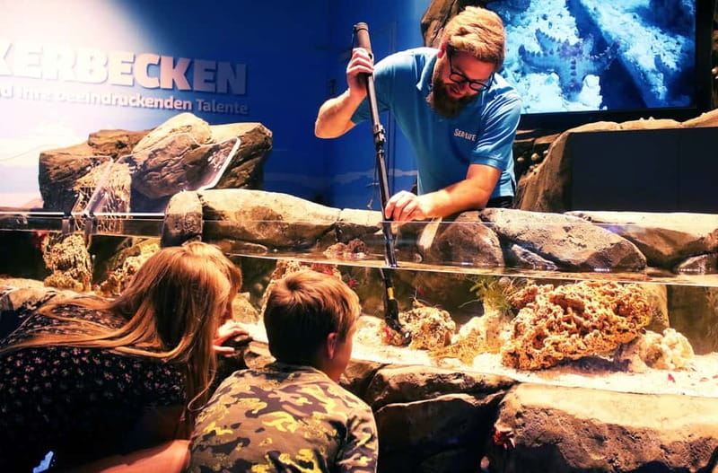 Ticket to SEA LIFE Konstanz - Paint2Life and the discovery pool: hands-on without needing special skills