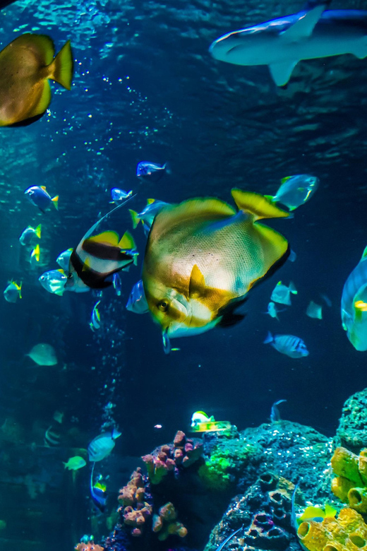 Timmendorfer Strand: SEA LIFE Behind the Scenes Tour - SEA LIFE Timmendorfer Strand, right by the Baltic Sea promenade