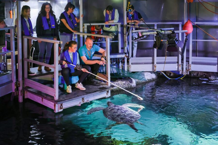 Timmendorfer Strand: SEA LIFE Behind the Scenes Tour - Your self-guided aquarium time: 12 themed worlds and 2,500+ animals