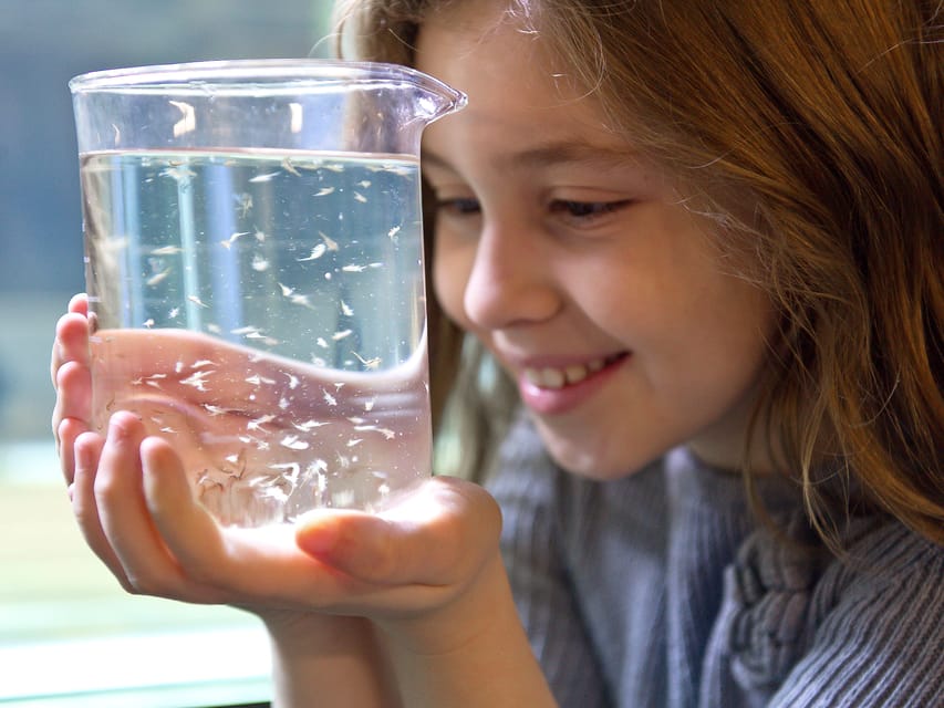 Timmendorfer Strand: SEA LIFE Behind the Scenes Tour - Value check: what you’re really paying for at around $57