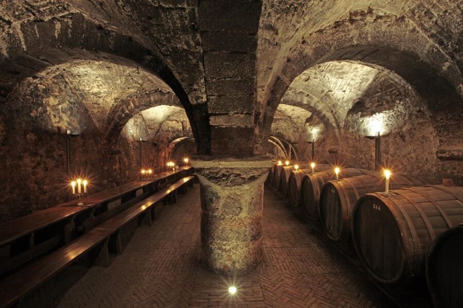 Trier: Discovery Tour – Germany's Oldest Wine Cellar - Your 1-hour flow: cellar tour, then two house wines