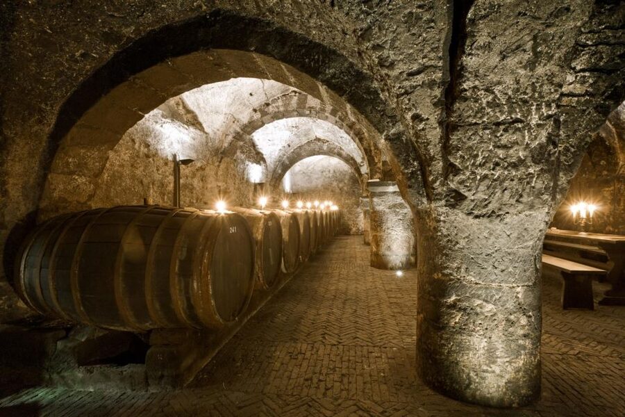 Trier: Discovery Tour – Germany's Oldest Wine Cellar - How to plan around weather, timing, and comfort